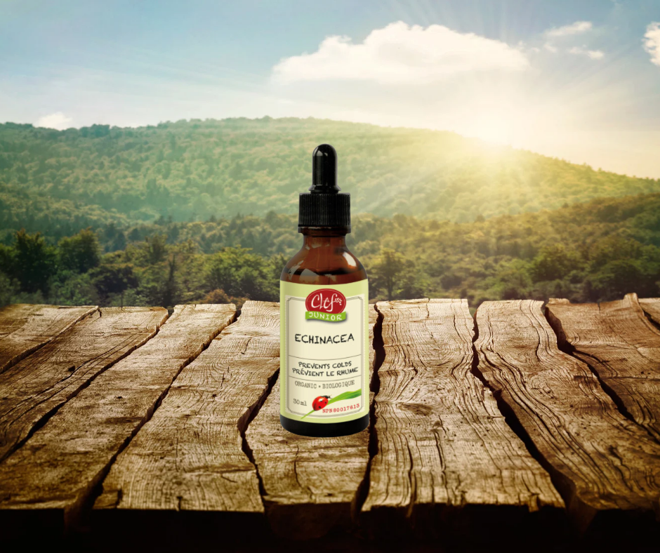 Teinture echinacea ( anticorps enfants)
