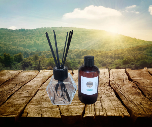 Diffuseur roseaux avec une bouteille d'odeur nature (au choix)