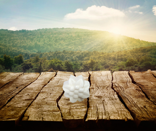 Fondant douche exfoliant prix reg odeur délivré aux hasard framboise ou calendula
