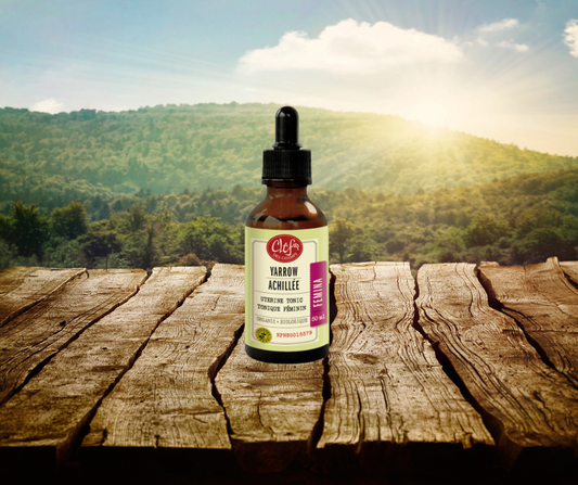 Teinture Achillé