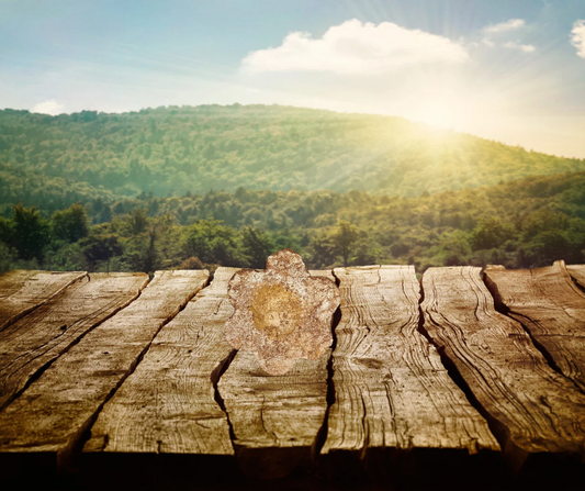 Bombe de bain réparatrice momentum