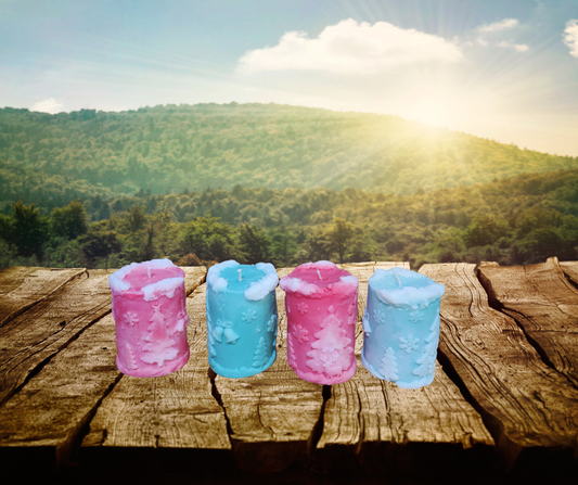 Bougies temps des fêtes (2 odeurs disponibles)