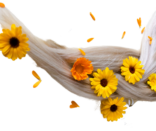 Shampoing hydratant et réparateur aux calendula