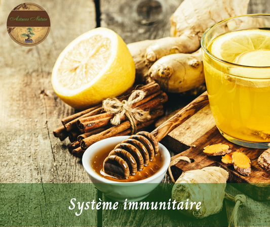 Renforce ton système immunitaire