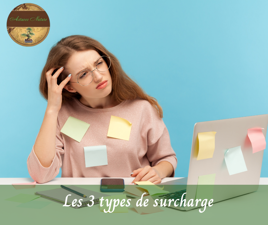 Formation les 3 types de surcharges