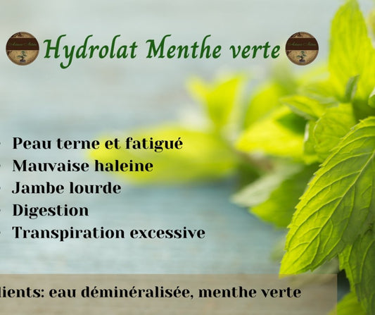 Hydrolat de menthe verte de retour à l'automne