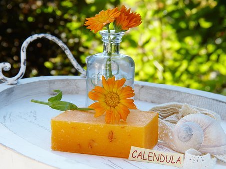 kit calendula