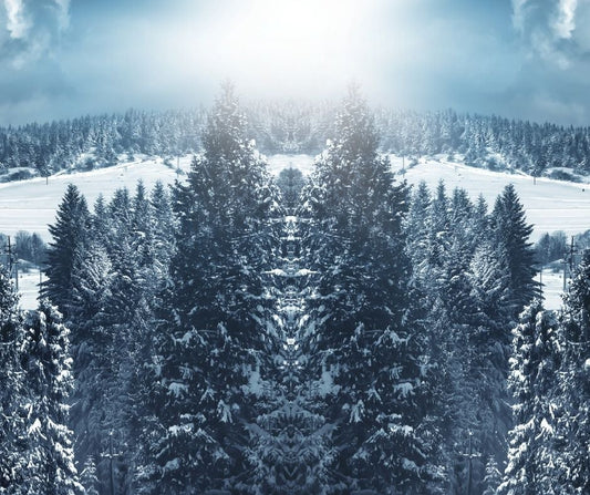 Odeur Nature forêt 120ml