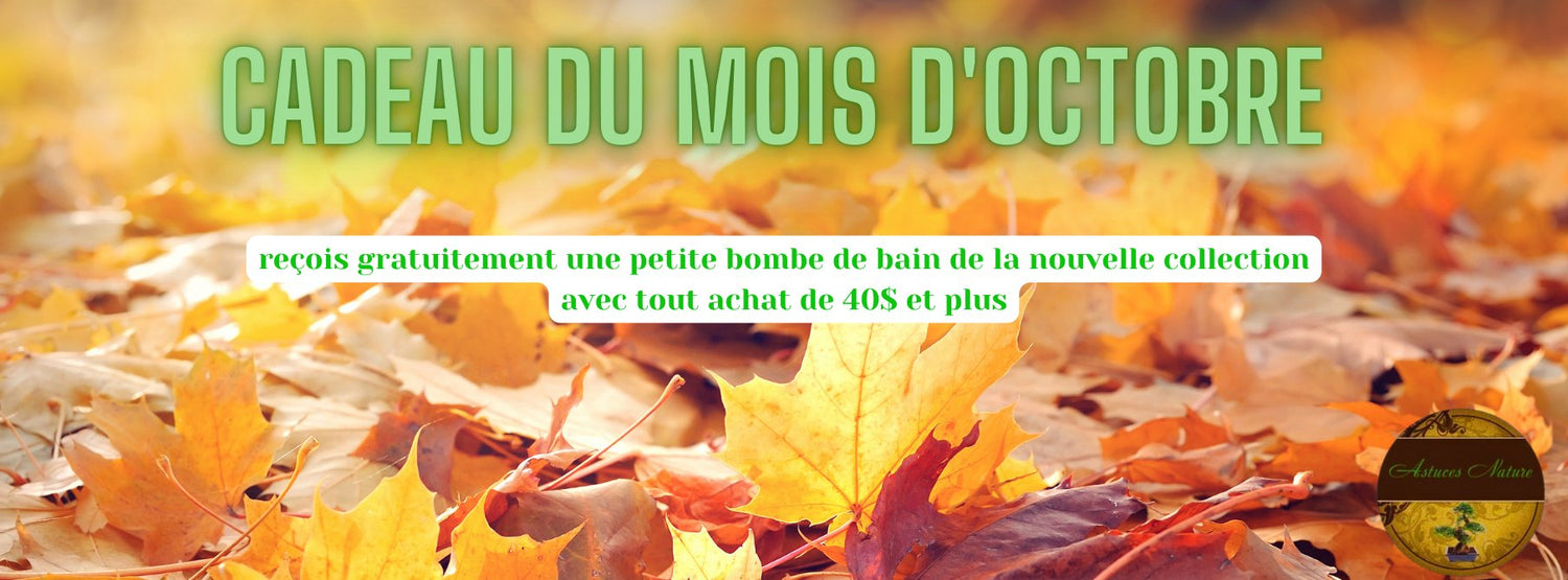 Nouveauté d'automne