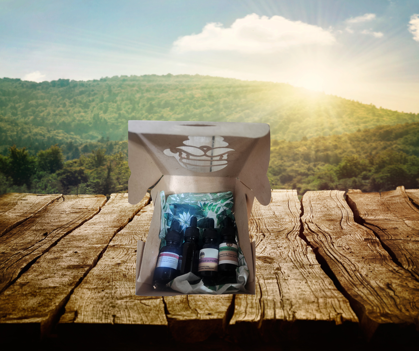 Coffret huile essentielle astuces nature