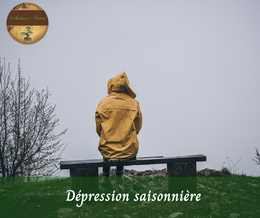 Formation dépression saisonnière